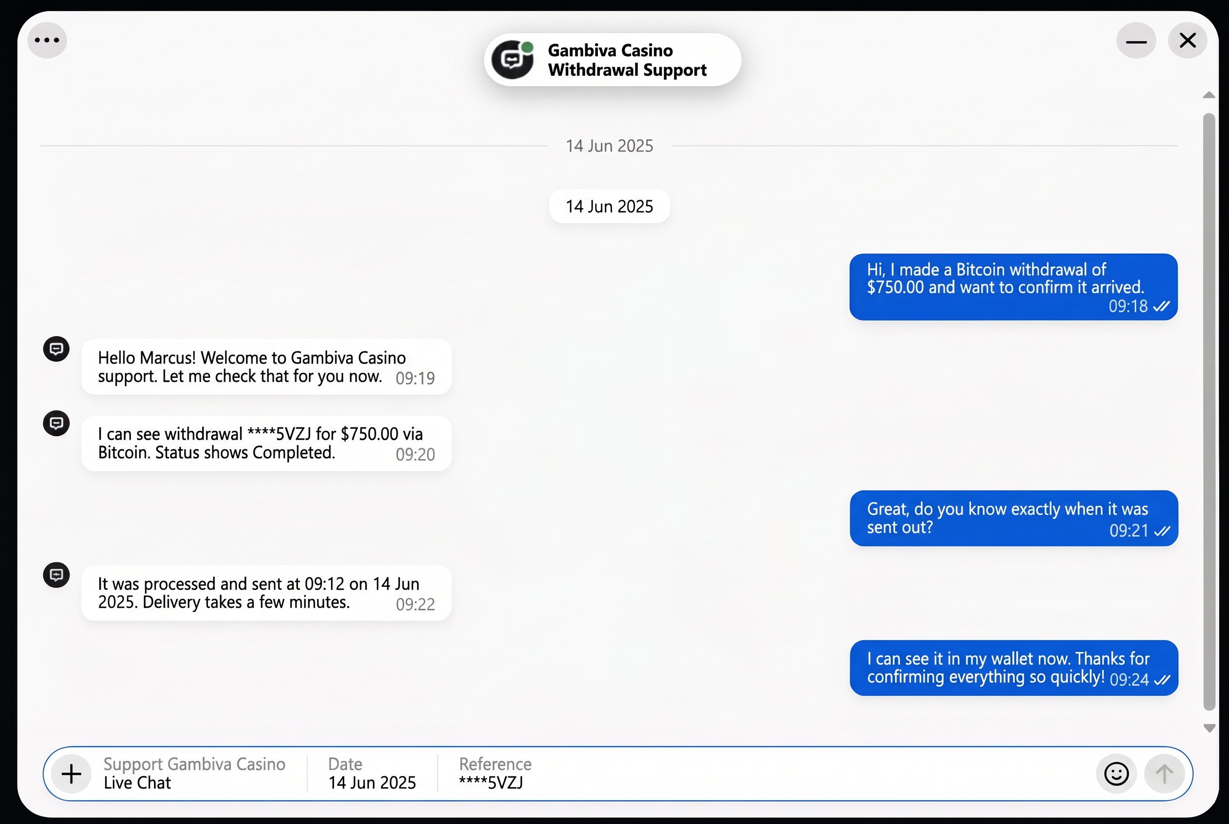Customer support chat screenshot